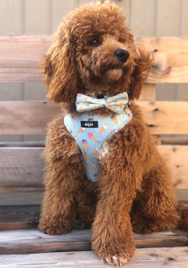 Dog Bow Tie | Ice Cream Design Bow Tie For Dog Collars | Blue Summer Scoops Haus of Woof UK Puppy Accessories - Image 2