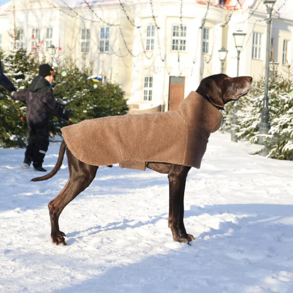 Handmade cappuccino color woolen coat for dog. Warm clothes for large dogs.